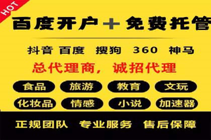 专业竞价SEM托管成功案例解析